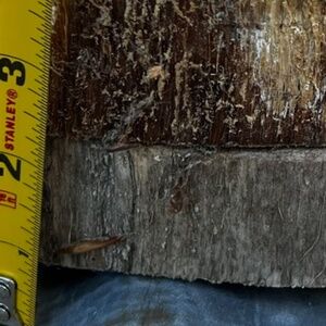 Lululemon Seamlessly Street Crop, Black, Women's size 10 - NWT